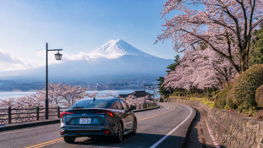 Car travels along a curved road bordered by blooming cherry trees with Mount Fuji in the background under a blue sky.