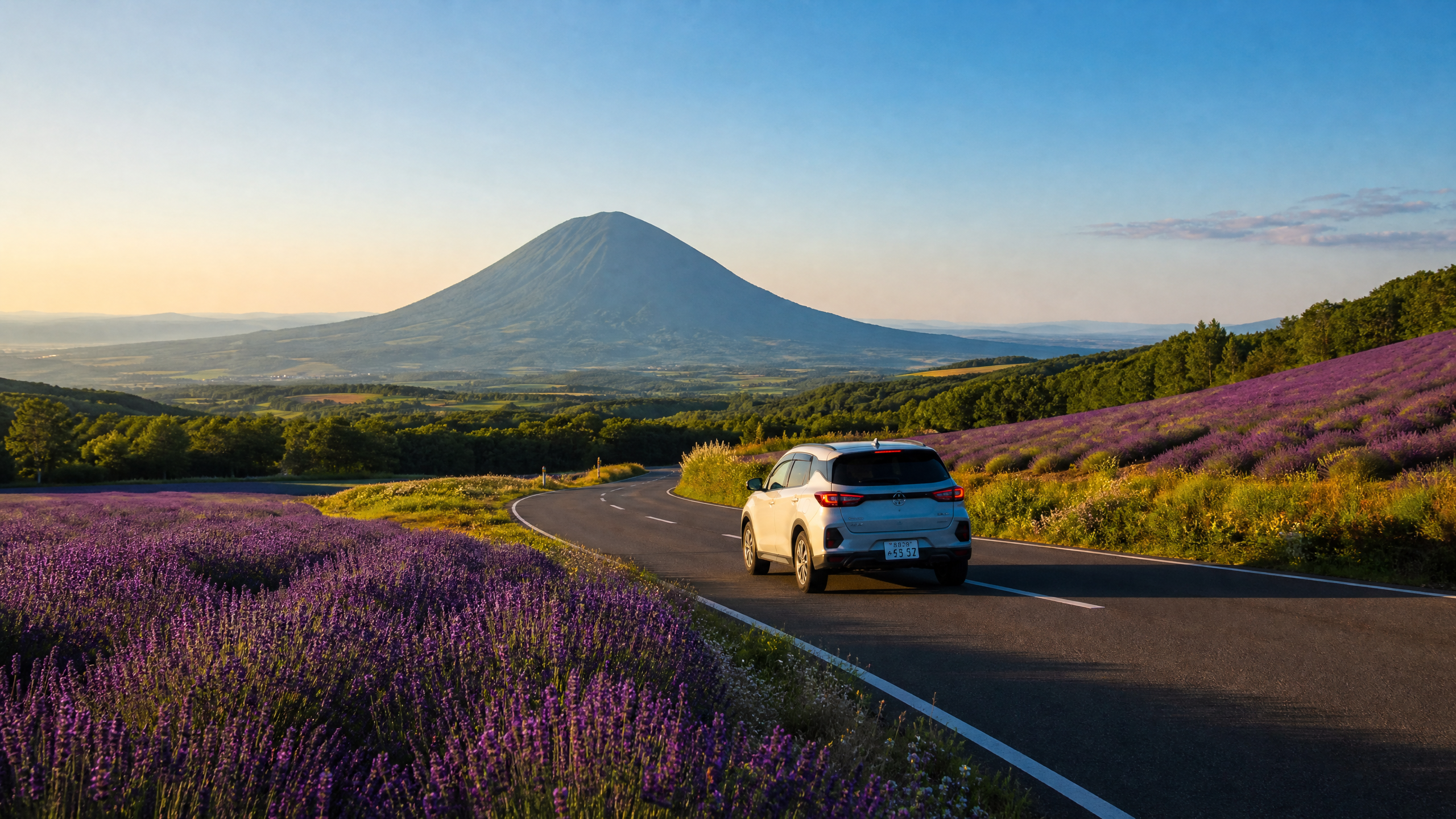 White SUV driving along a winding road through purple lavender fields with a mountain in the distance at sunset.