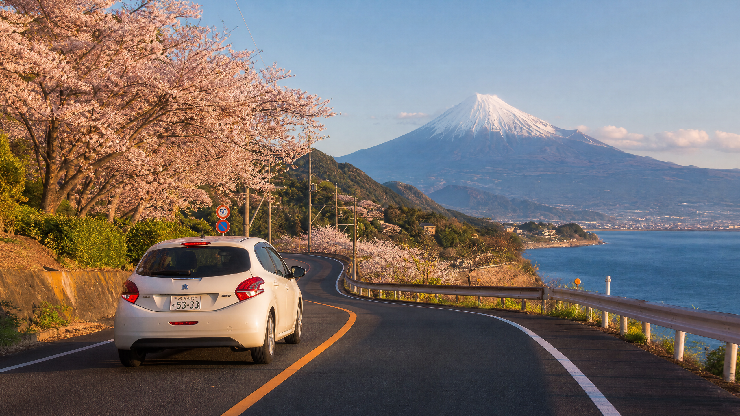 White car driving along a winding coastal road lined with cherry blossoms, Mount Fuji visible in the distance on a clear day.